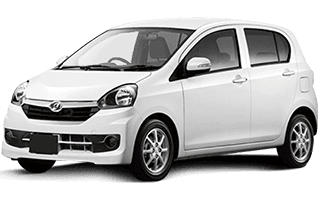 elephant Mini car rental